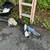 Chain saws 1 thumbnail
