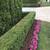 A PROFESSIONAL GARDENING LADY, Weeding,CleanUp, Flowers, Mulch, Trim, 5 thumbnail