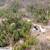 Lot 91 Houghton Rd, Vernon BC - 0.53 Acres in Killiney Beach 6 thumbnail