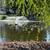 Available Now! 2 Bedroom Apartments at Amador Lakes Apartments 13 thumbnail