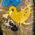 Vintage Steel Garden Stakes "Bloomin'Fauna" Still in Original Package 3 thumbnail