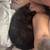 Kittens 6 thumbnail
