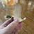 Mallard Duck Ornaments, Hand Carved/Painted Stone Animal Sculptures 3 thumbnail