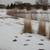 1/2 acre buildable lot 11 thumbnail