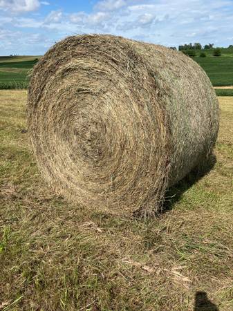 Grass hay bales.  No rain 1