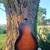 Vintage 1930s Oahu Hawaiian Slide Guitar-----Excellent 3 thumbnail