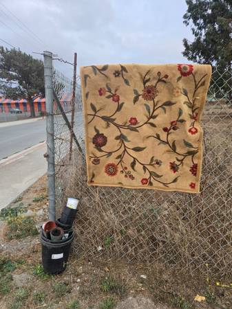 Free rug and garden pots 1