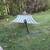 Hammock 1 thumbnail