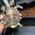 Russian tortoise 6 thumbnail
