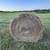 Grass Bales and Alfalfa Bales 1 thumbnail