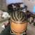 Box Braids, Crochet braids,Boho braids $95 8 thumbnail
