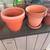 Flower Pots 2 thumbnail