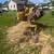 Stump & tree removal 5 thumbnail