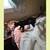 Kitten 1 thumbnail