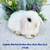 Adorable Holland Lop Baby Bunny 12 thumbnail