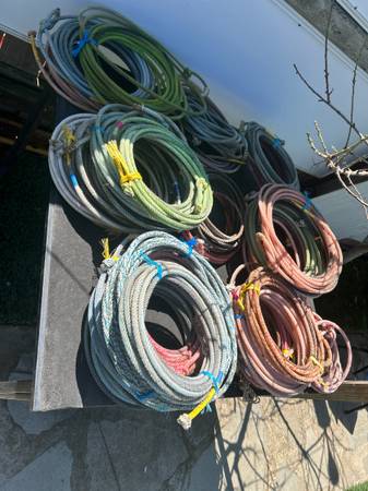 Cowboy lariat team rope 1