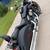 2021 Indian Scout Thunder Black (ABS) 5 thumbnail