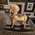 Hand Painted Wood Rocking Horse 1 thumbnail