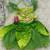 Disney Tinkerbell Costume 3 thumbnail