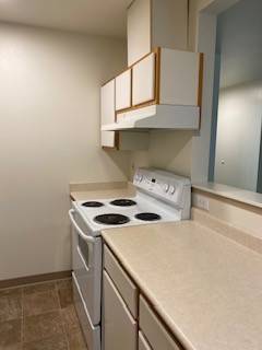 Cougar Mountain Scenery, Seniors 62 +, Tour Today! 1