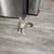Kittens for rehoming 3 thumbnail