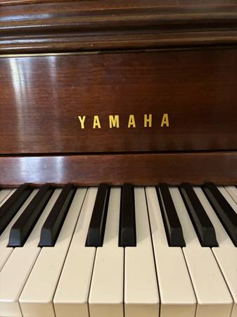 Professionally Tuned 1