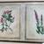 Floral Botanical Study Framed Print 3 thumbnail