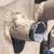 Roofing services and repairs 7 thumbnail