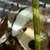 54Pc.Christmas Decorations Lot Huge Teddy, Sleigh, Nesting boxes 8 thumbnail