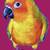 Sun Conure Air Conditioning Company 1 thumbnail