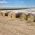 Please, Don't buy untested grass hay! Montgomery 2 thumbnail