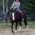 Dbl Reg. BLACK BEAUTY 2 yr old filly! 2 thumbnail