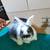 BUNNIES 1 thumbnail