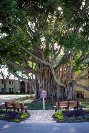 $1,399 / 1br - 675ft2 - The Perfect Blend of Price and Convenience! (4055 MacEachen Blvd, Sarasota, FL)63791080783617123