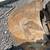 2021 John Deere 85G Excavator 9 thumbnail