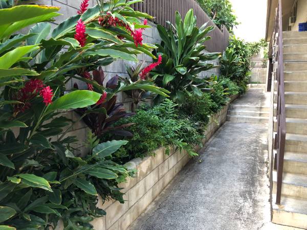 $1,700 / 1br - Pet allowed, renovated/upgraded, 8/5, professionally cleaned (Makiki)63939535180291124