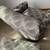 England Swivel Accent Chair with Matching Ottoman from Van Drie 6 thumbnail