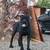 Cane corso 4 thumbnail