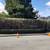 JOSE TREE CARE  SERVICE___________________________ALL SAN JOSE ,N 15 thumbnail