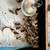 Guinea Keets 8 thumbnail