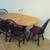Gorgeous 3 Br House 10 Minutes to UCONN Storrs 4 thumbnail