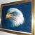 THE ALL AMERICAN EAGLE 3 thumbnail