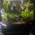 37 gal. Blackpainted back w heavy duty stand 5 thumbnail