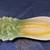 CARDINAL CELERY DISH 1 thumbnail