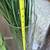 Glass Cylinder Vases with Fake Grass, Bamboo, Dried Sticks, Rocks 7 thumbnail