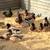 Bantam Call Ducks 12 thumbnail