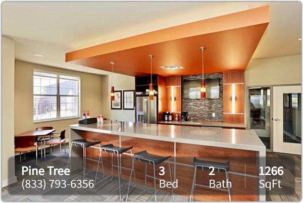 $1,642 / 3br - 1266ft2 - Ready to lease! Beautifully designed 3 bed 2 bath apartment (Omaha)63681642444801120