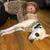 $35.00/Night Dog Boarding - Cozy Stays & Belly Rubs! 19 thumbnail