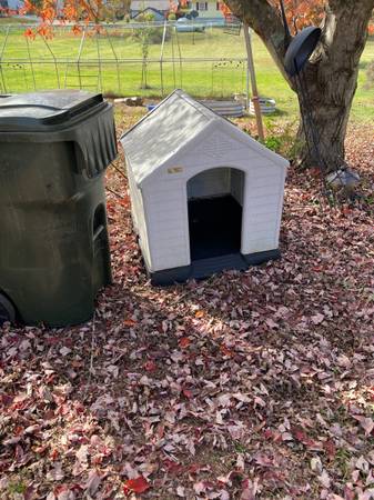 Dog House