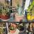 American Agave Cactus Plants Plus Many More!!! 7 thumbnail